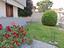 Immagine 15