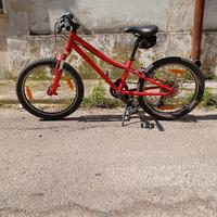 mtb specialized 24