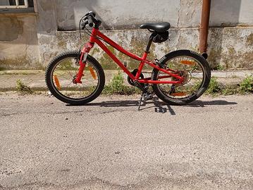 mtb specialized 24