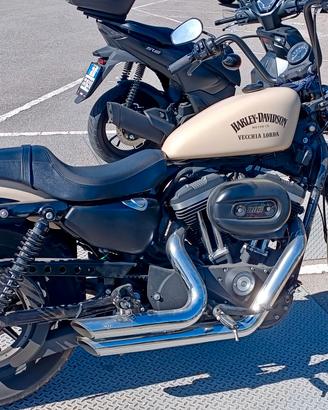 Harley-Davidson Sportster 883 Iron (2015)

