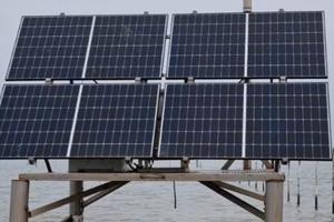 Videosorveglianza vongole