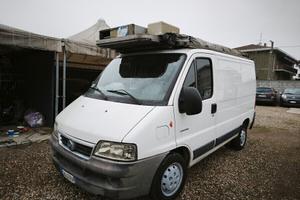 Jumper. con tenda elettrica mercati