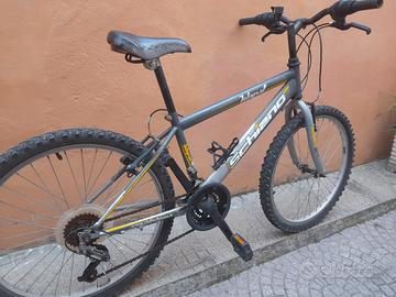 Bicicletta ragazzo da 24"