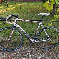 Cannondale Synapse Carbon taglia 56