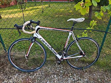 Cannondale Synapse Carbon taglia 56