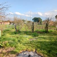 Terreno zona terrafino