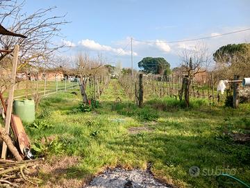 Terreno zona terrafino