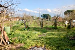 Terreno zona terrafino