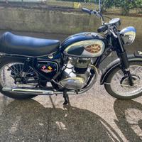 Bsa 650 thunderbolt 1968