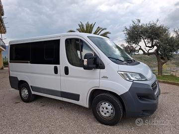 ducato 9 posti
