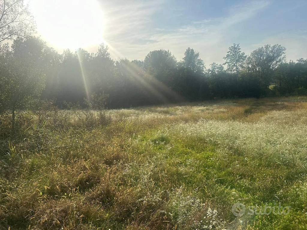 Terreno di 6555 m² a Nibionno - Vista 3