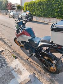 QJMotor SRT800X 2024 – 12.000 km – Tagliandata – G