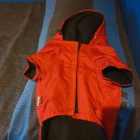 cappottino e pettorina 