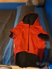 cappottino e pettorina 