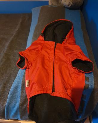 cappottino e pettorina 