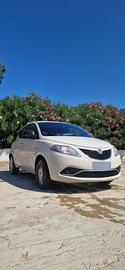 Lancia Ypsilon 1.3MJT  95cv 2016 unico propr.