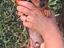 Immagine 3