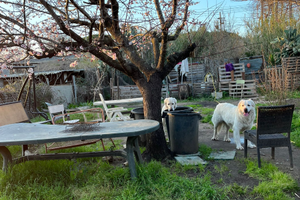 Roulotte con mezzo ettaro di terreno