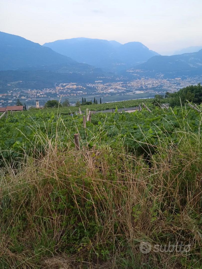 Terreno agricolo a Pedersano - Vista 2