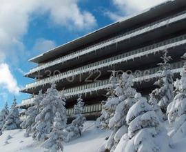 Residence palace 2 di Sestriere 1/03 al 10/03