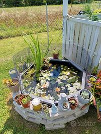 Laghetto - Mini Pond 