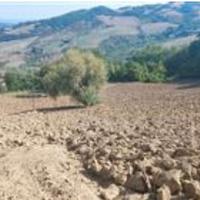 RGE 68/2023 - Tribunale di Urbino - Lotto 2