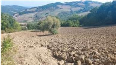 RGE 68/2023 - Tribunale di Urbino - Lotto 2