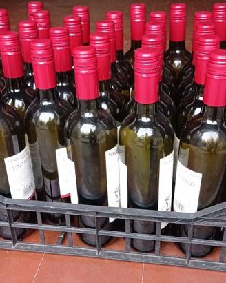 Bottiglie bordolesi 37Pz con tappo a vite 0.75L