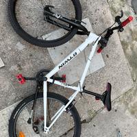 Bici da ragazzo