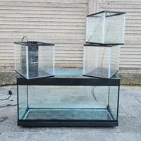 Vasca acquario 100/120 litri con accessori e sum