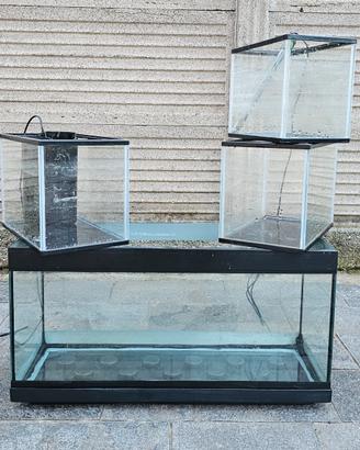 Vasca acquario 100/120 litri con accessori e sum