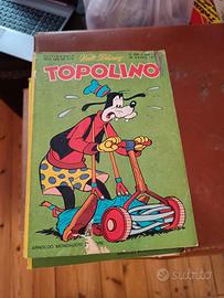 Topolino fascia 800