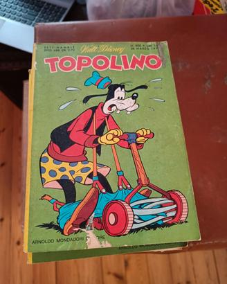 Topolino fascia 800