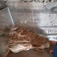 Acquario (possibile trasporto a Mantova ed Elba)