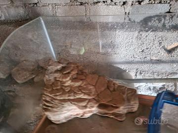 Acquario (possibile trasporto a Mantova ed Elba)