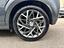 Immagine 14