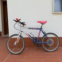 Bicicletta Atala