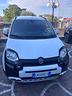 fiat-panda-cross-1-0-firefly-s-s-hybrid