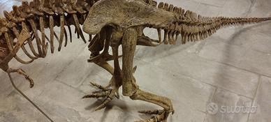 Modello dinosauro t-rex