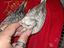 Immagine 1