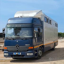Van Mercedes Atego 12-18 trasporto cavalli