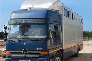 Van Mercedes Atego 12-18 trasporto cavalli