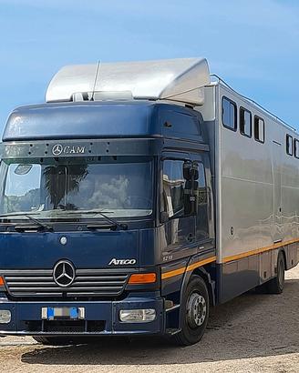 Van Mercedes Atego 12-18 trasporto cavalli