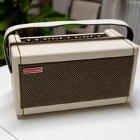 Positive Grid Spark 40 PW