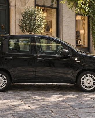 FIAT Pandina 1.0 FireFly 65 CV Hybrid Icon