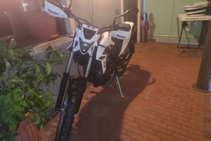 Beta Alp 4.0 anno 2024 bianca