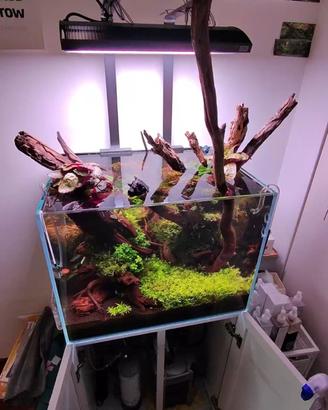 Acquario ADA completo