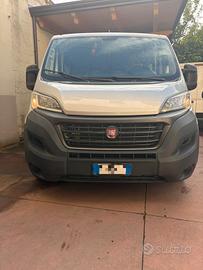 fiat ducato 9 posti panorama 