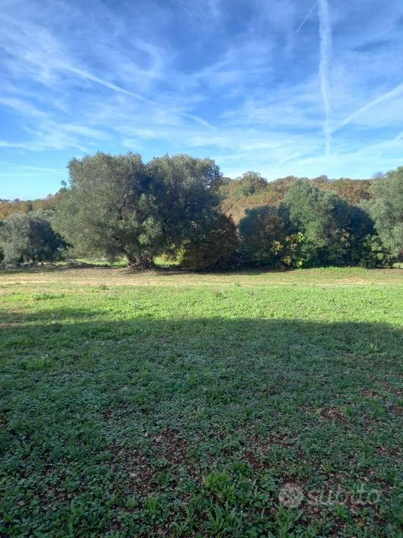 Rustico / Casale di 80 m² con 2 locali a Locoroton - Vista 2