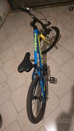 Bici da 20 pollici  erreerre 